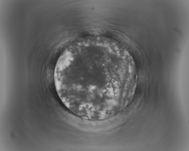 X0000113090043200909251020
