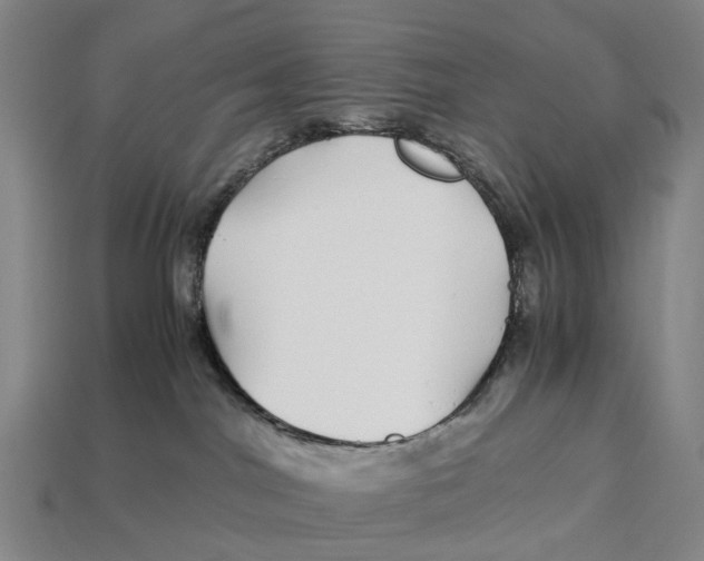 X0000113090044200909251020
