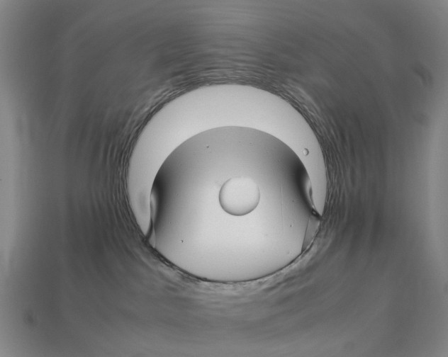 X0000113090045200909251020