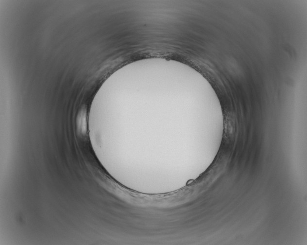 X0000113090046200909251020