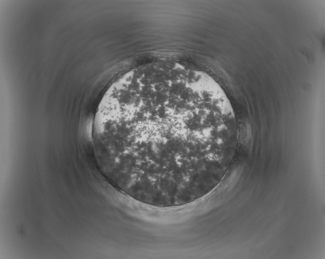 X0000113090047200909251020