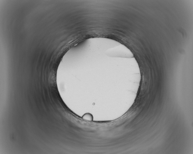 X0000113090048200909251020