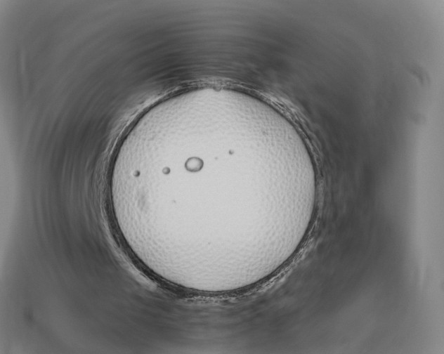 X0000113090049200909251019