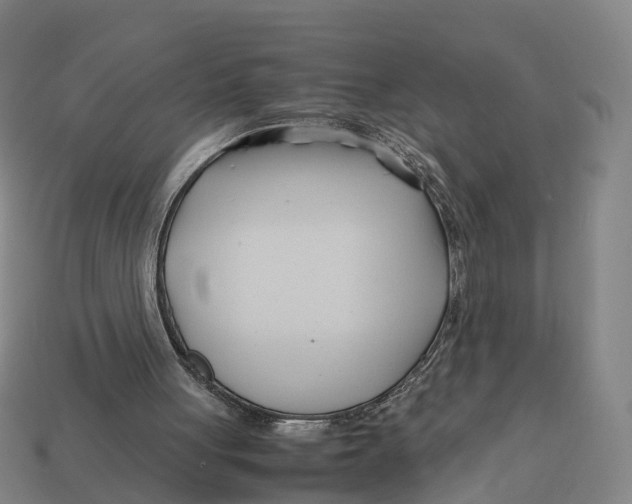 X0000113090051200909251019