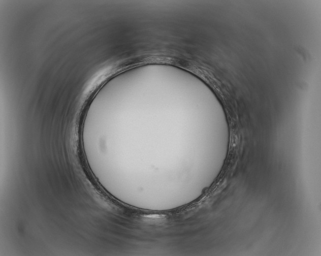 X0000113090053200909251019