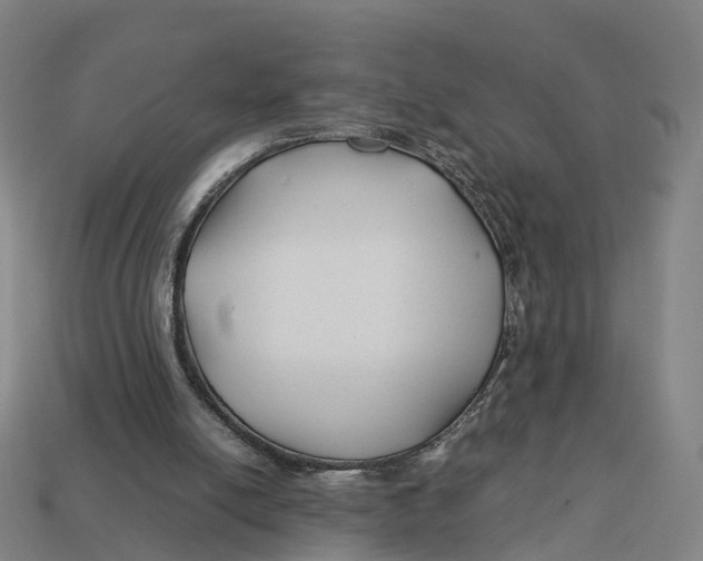 X0000113090054200909251019