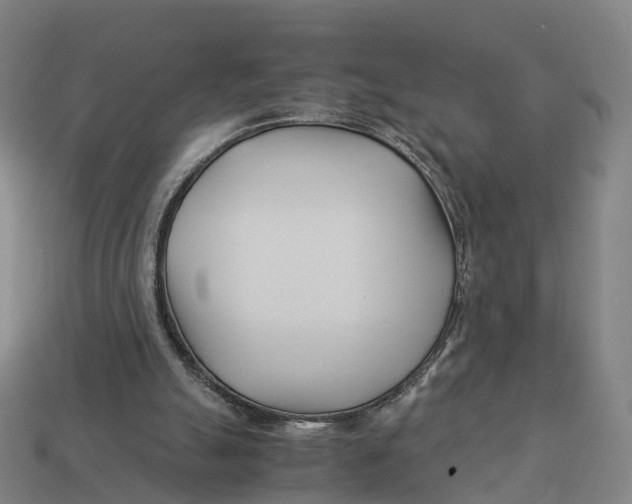 X0000113090055200909251019
