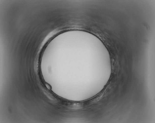 X0000113090056200909251019