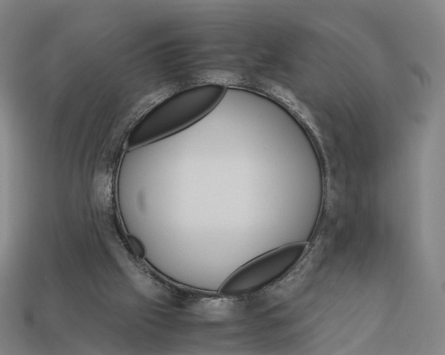 X0000113090057200909251019