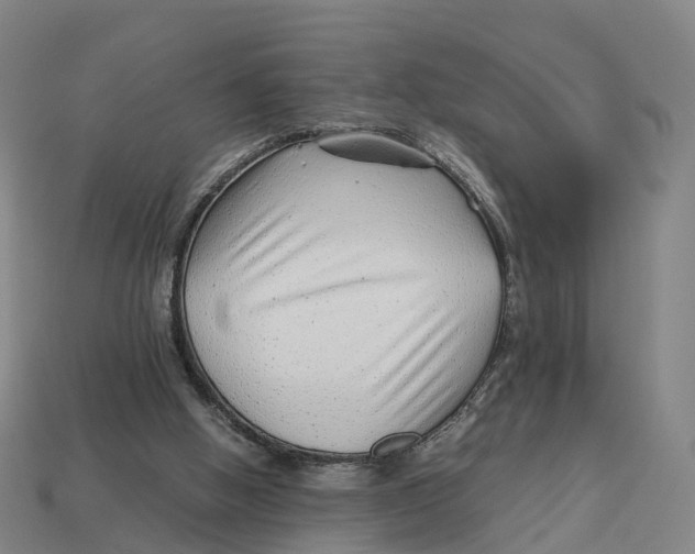 X0000113090058200909251019