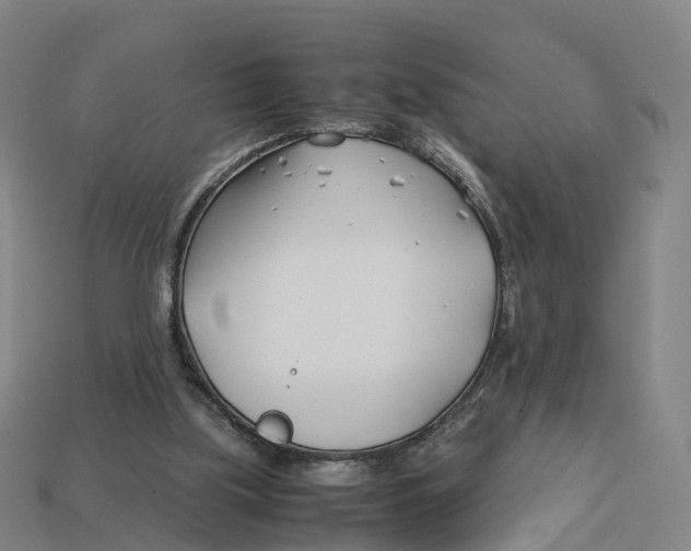 X0000113090059200909251019