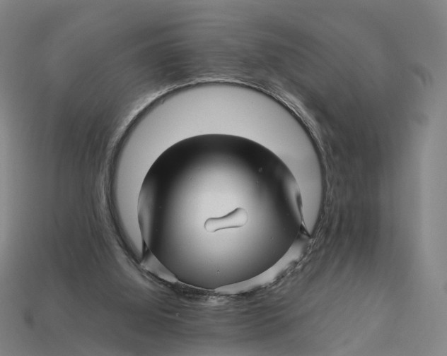 X0000113090060200909251019