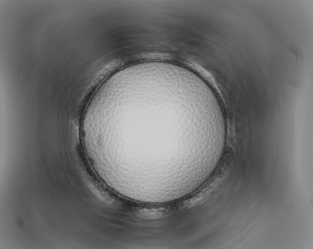 X0000113090061200909251019