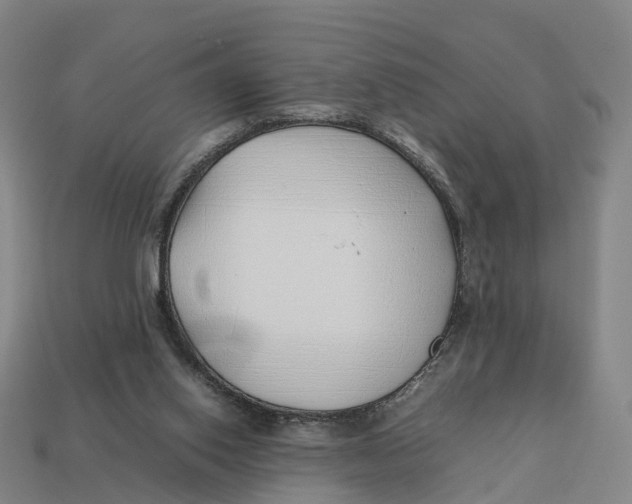 X0000113090062200909251019
