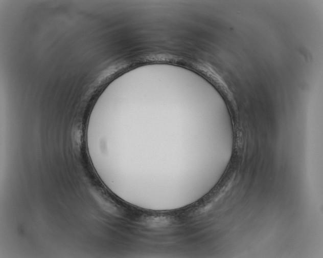 X0000113090063200909251019