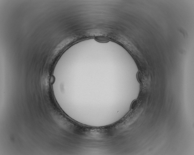 X0000113090064200909251019