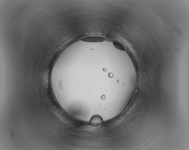 X0000113090065200909251019