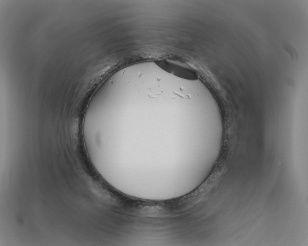 X0000113090066200909251019