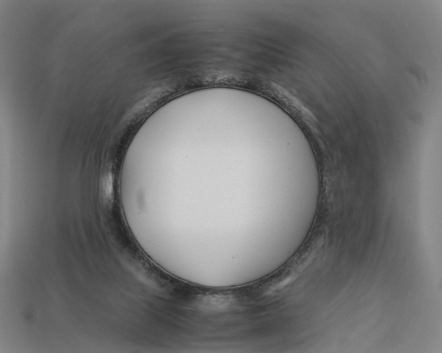X0000113090067200909251019
