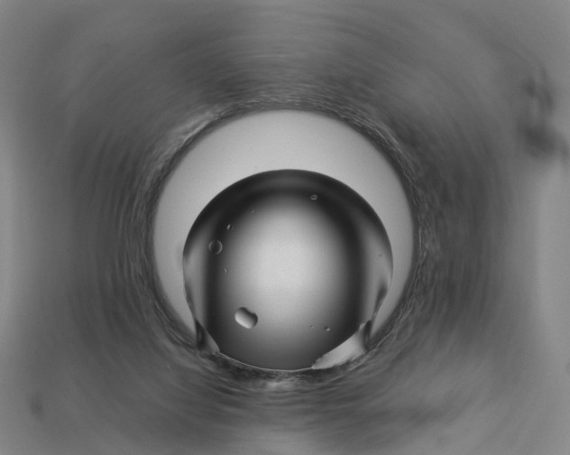 X0000113090068200909251019