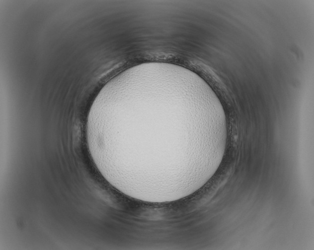 X0000113090071200909251019