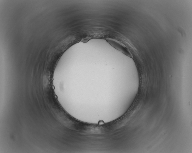 X0000113090073200909251019
