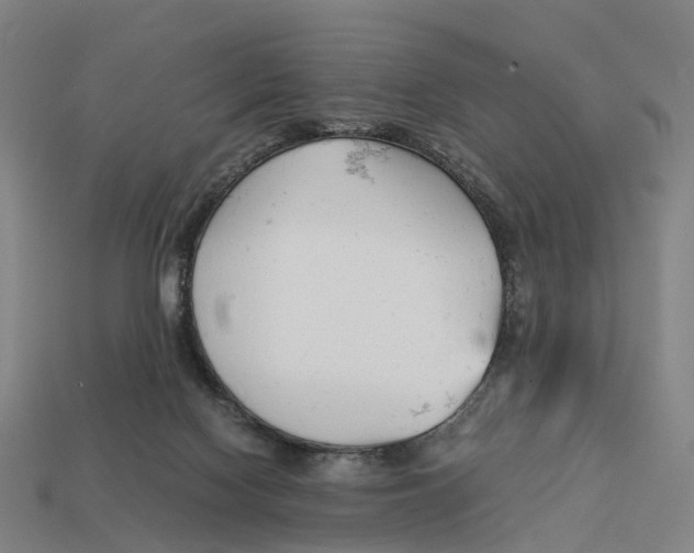X0000113090074200909251019