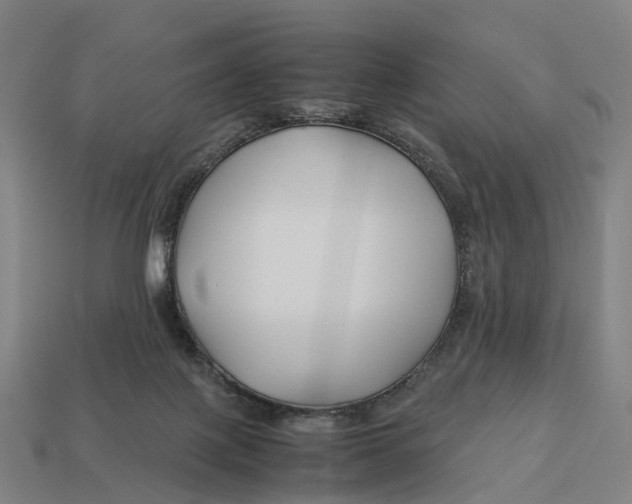 X0000113090075200909251019