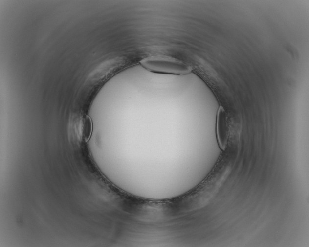 X0000113090076200909251019