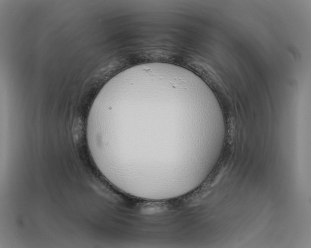 X0000113090077200909251019