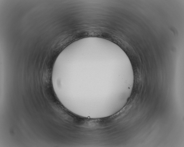X0000113090078200909251019