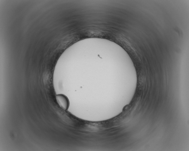 X0000113090079200909251019