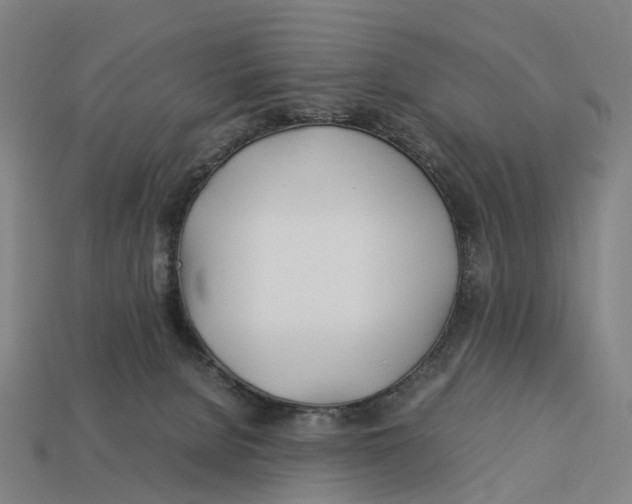 X0000113090080200909251019