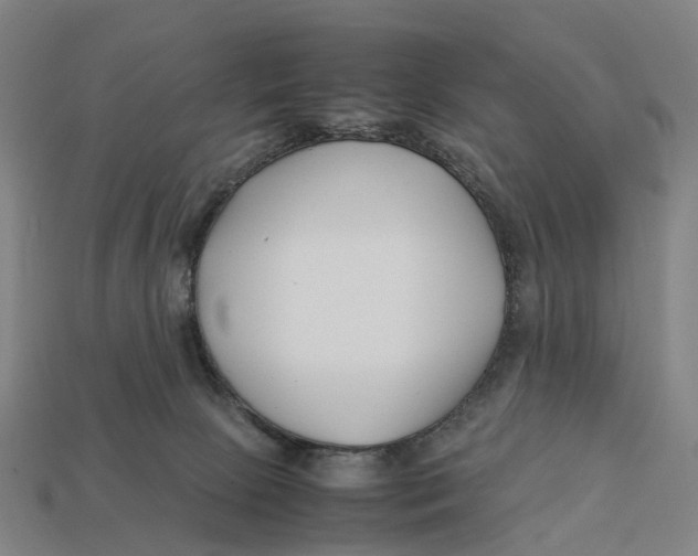 X0000113090081200909251019