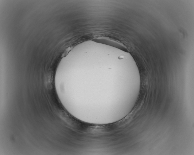 X0000113090082200909251019