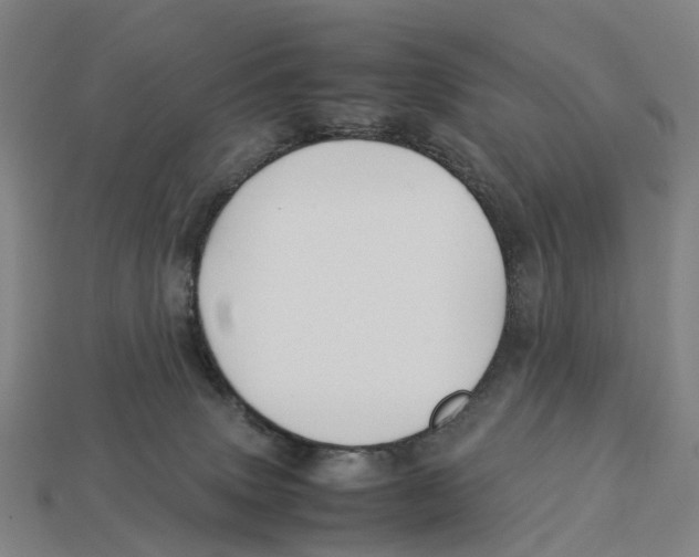 X0000113090083200909251019