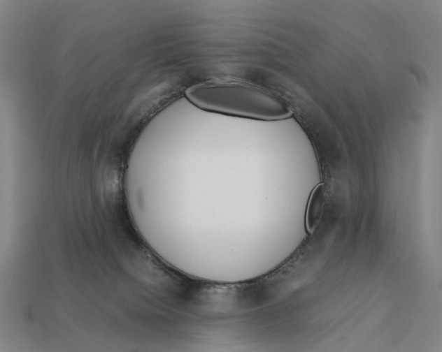 X0000113090084200909251019