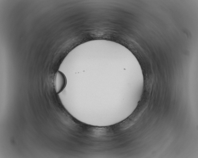 X0000113090085200909251019