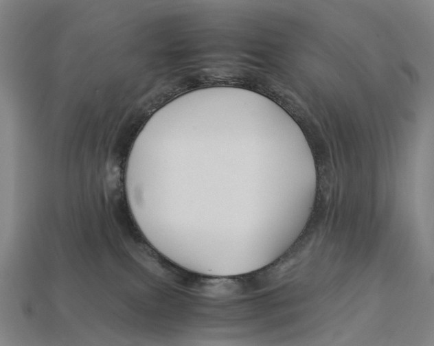 X0000113090087200909251019