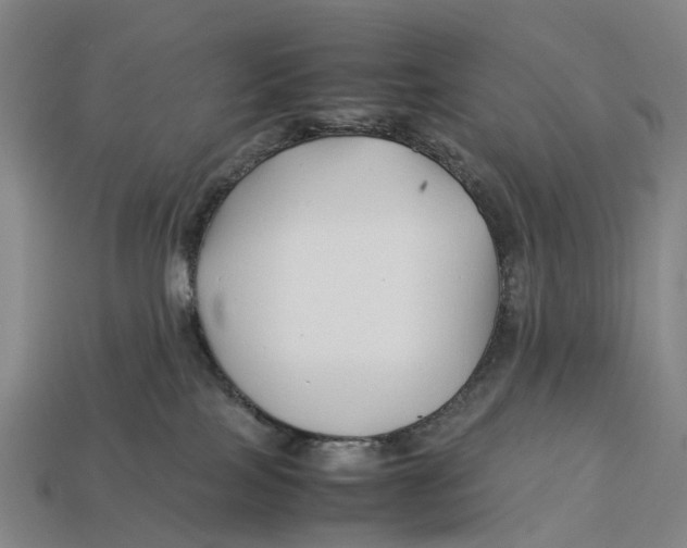X0000113090089200909251020