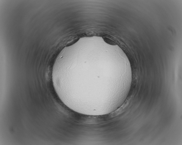X0000113090090200909251020