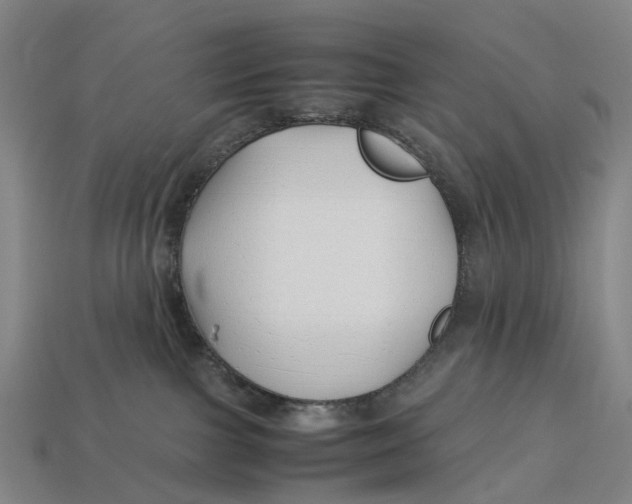 X0000113090091200909251020