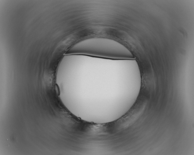 X0000113090092200909251020