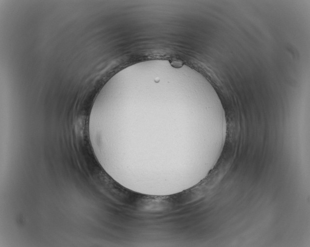 X0000113090093200909251020