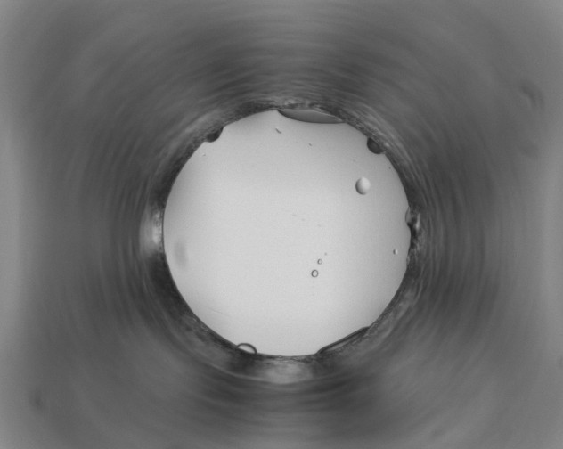 X0000113090095200909251020
