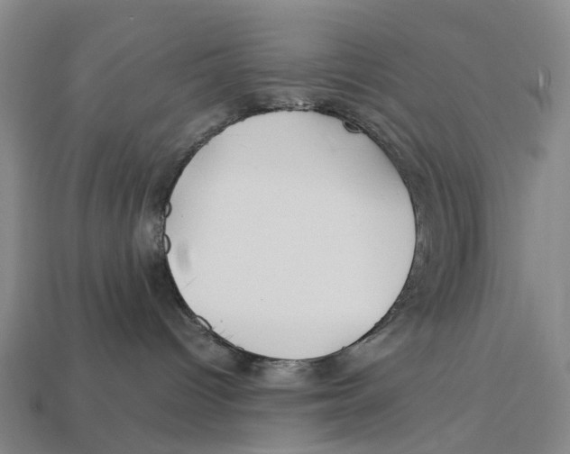 X0000113090096200909251020