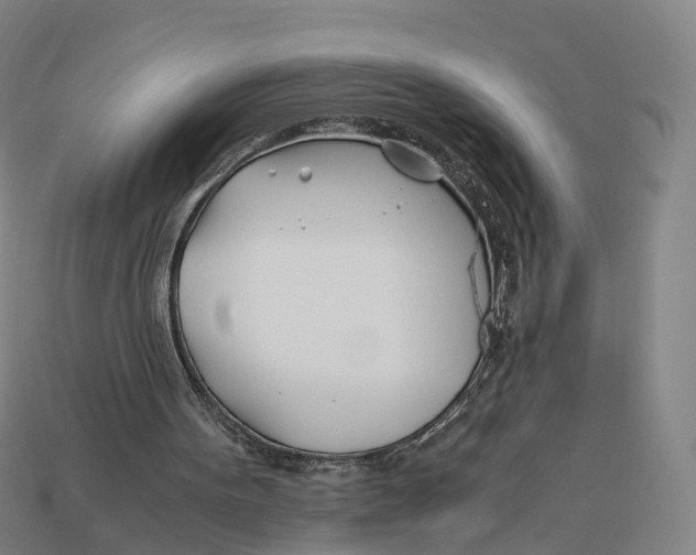 X0000113090099200909251019