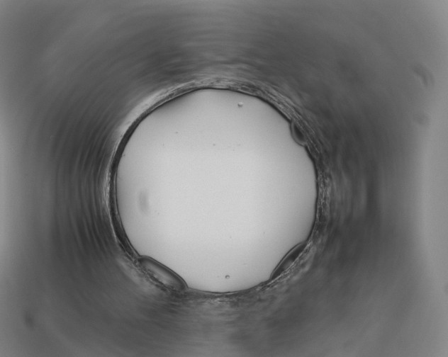 X0000113090100200909251019