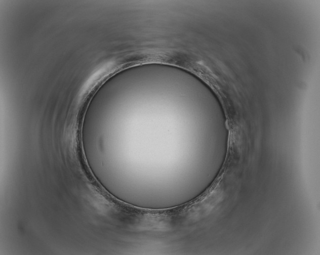X0000113090101200909251019