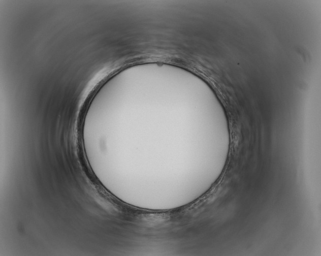 X0000113090102200909251019